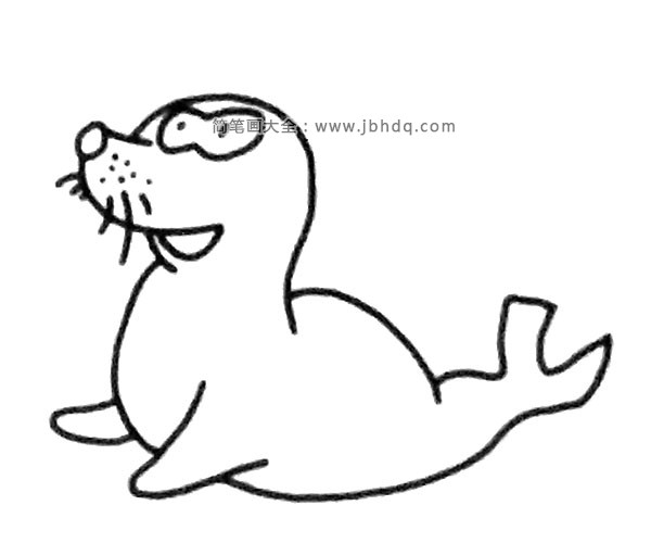 一组可爱的海狮简笔画图片(2)
