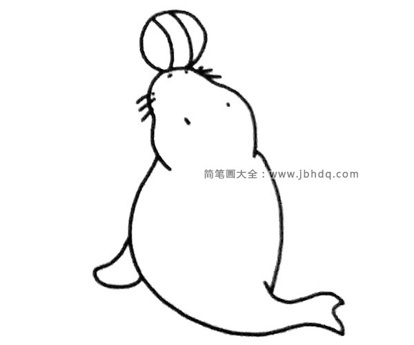 一组可爱的海狮简笔画图片(3)