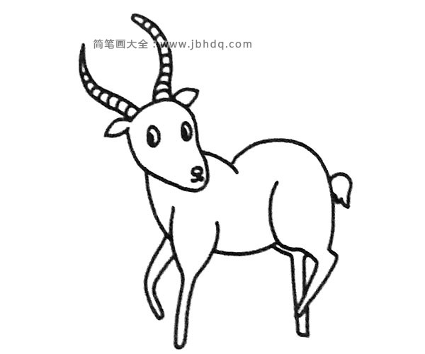 可爱的羚羊简笔画(3)