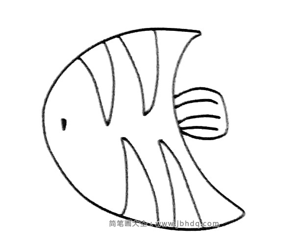 神仙鱼简笔画图片大全(4)