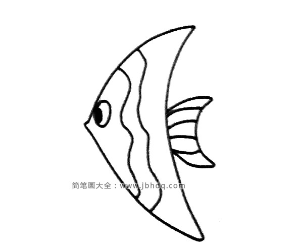 神仙鱼简笔画图片大全(6)
