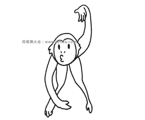 长臂猿简笔画图片(5)