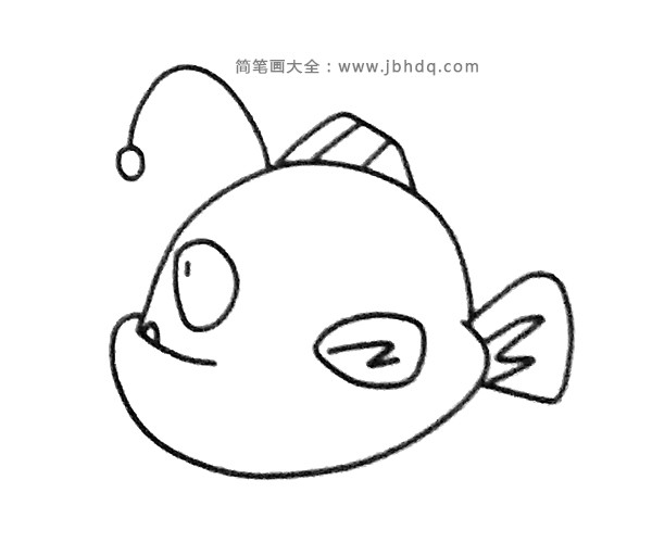 一组灯笼鱼简笔画图片(6)