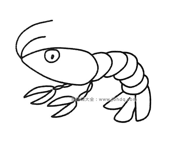 一组卡通虾的简笔画图片(3)