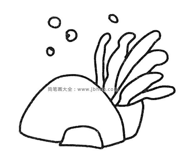 一组可爱的卡通海葵简笔画图片(3)