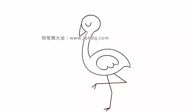 画一只行走的火烈鸟简笔画(5)