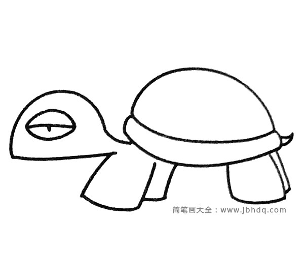 一组卡通乌龟简笔画图片(2)