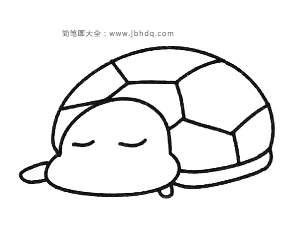 一组卡通乌龟简笔画图片(3)