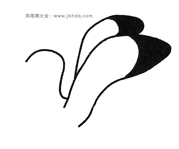 四步学画海鸥(2)