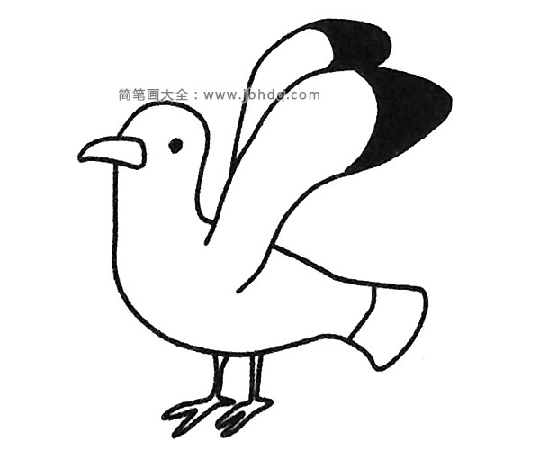 四步学画海鸥(4)