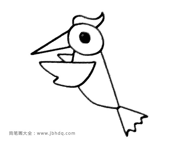 一组简单的啄木鸟简笔画图片(2)