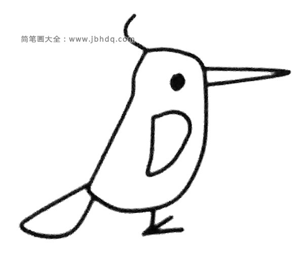 简单四步画出啄木鸟(4)