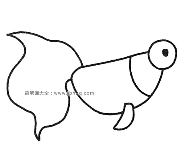一组漂亮的金鱼简笔画图片(2)