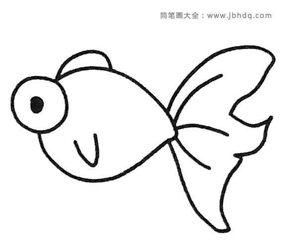 一组漂亮的金鱼简笔画图片(3)