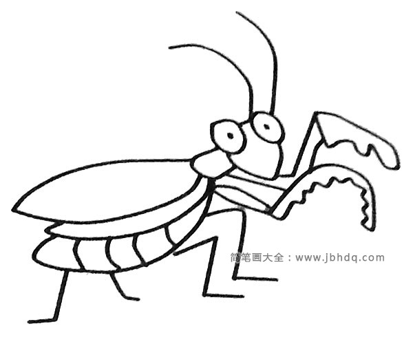 一组卡通螳螂简笔画图片(3)