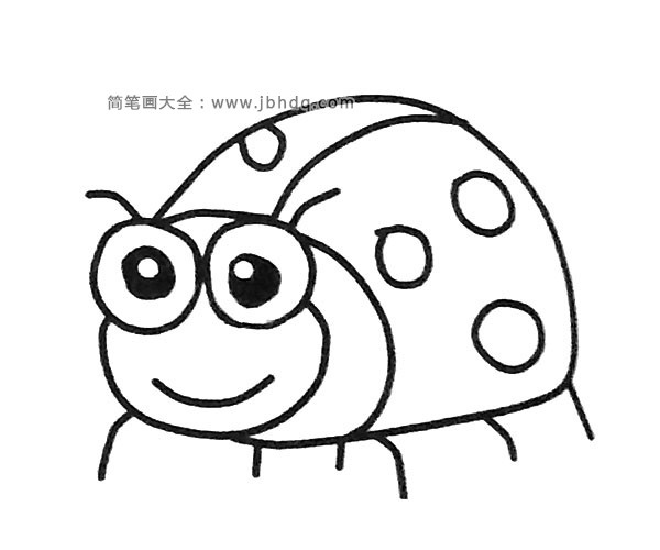 一组卡通瓢虫简笔画图片(3)