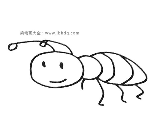 一组卡通蚂蚁简笔画图片(2)
