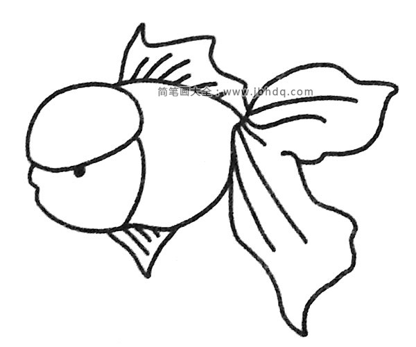 一组漂亮的孔雀鱼简笔画图片(5)