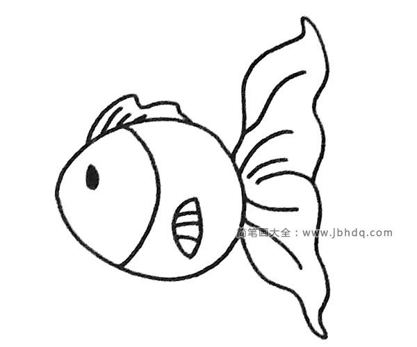 简单四步画出漂亮的孔雀鱼(4)
