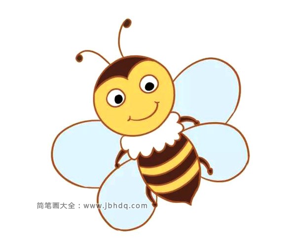 学画卡通蜜蜂简笔画(7)