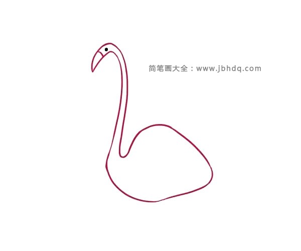 漂亮的火烈鸟简笔画(2)