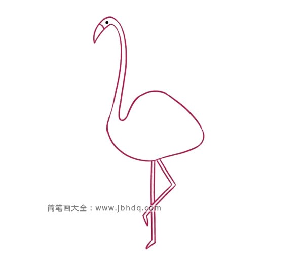 漂亮的火烈鸟简笔画(3)