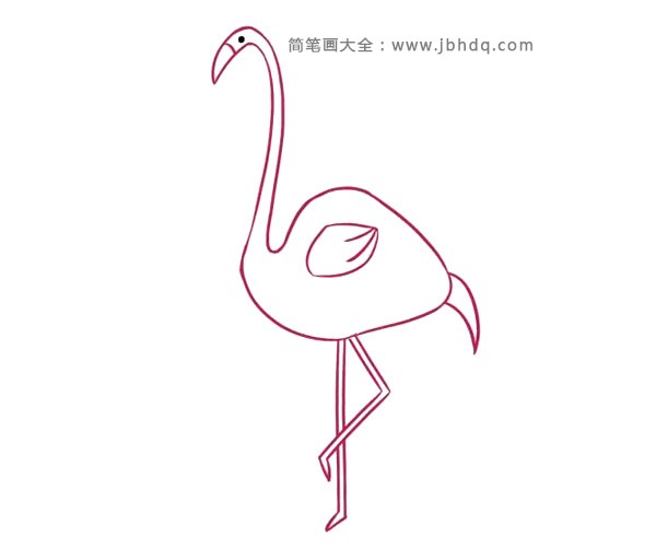 漂亮的火烈鸟简笔画(4)