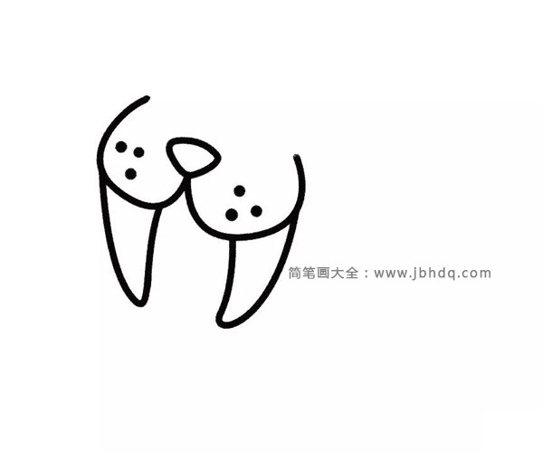 开心的海豹简笔画(2)