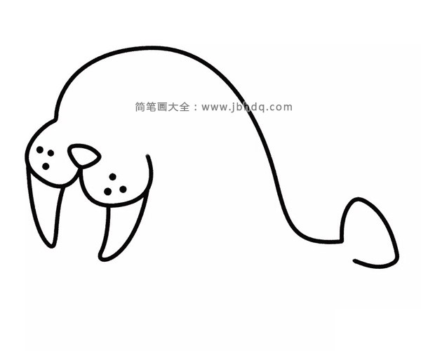 开心的海豹简笔画(3)