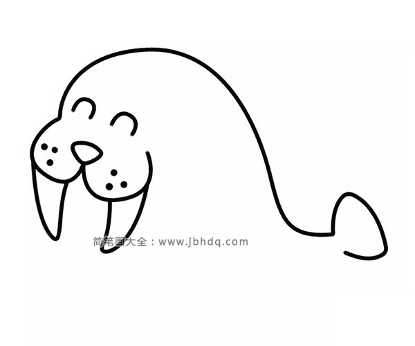 开心的海豹简笔画(4)