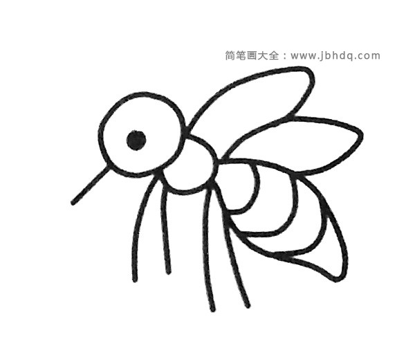 一组卡通蚊子简笔画图片