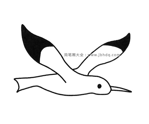 四张漂亮的海鸥简笔画图片(3)