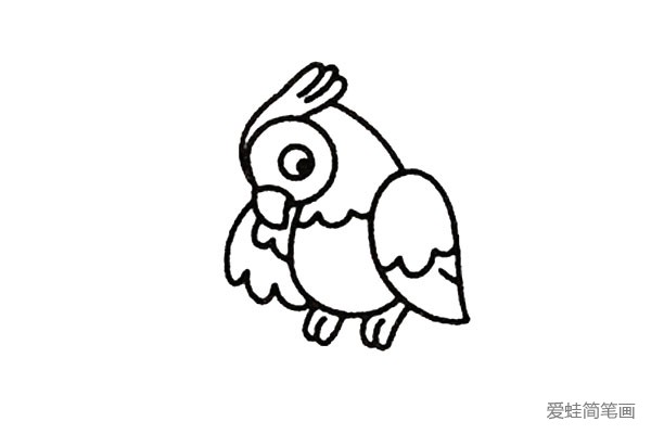四步学画小鹦鹉，简单又有趣(2)
