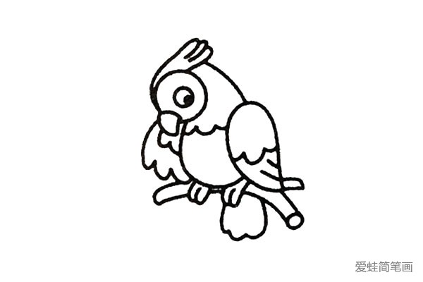四步学画小鹦鹉，简单又有趣(3)