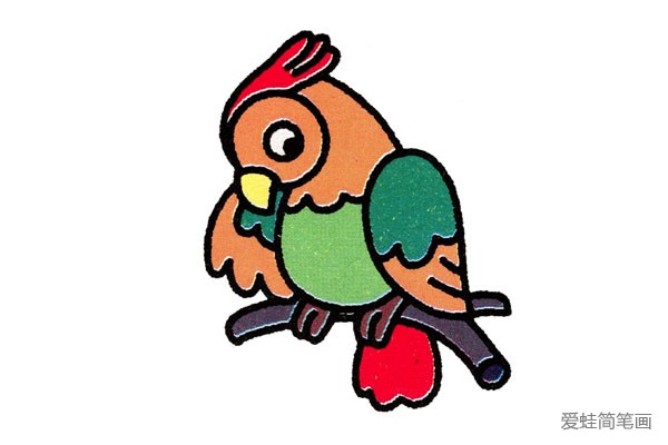 四步学画小鹦鹉，简单又有趣(4)