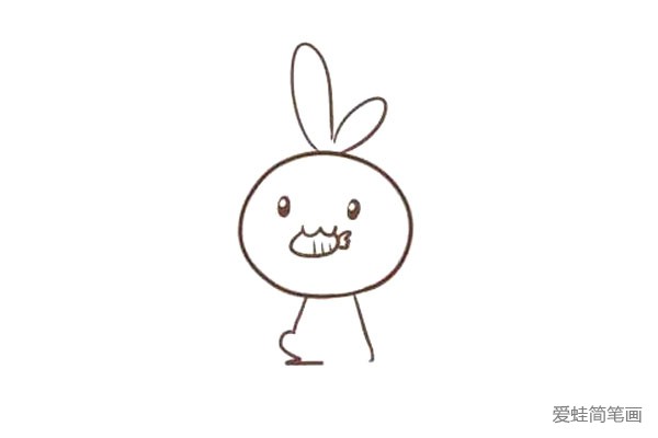 吃胡萝卜的兔子，你一定喜欢！(5)