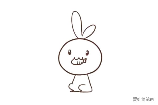 吃胡萝卜的兔子，你一定喜欢！(6)