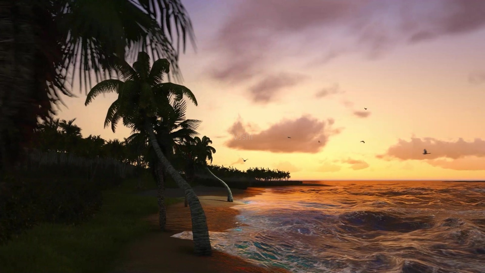 夏天的图片大全  海边椰子树景色大全(3)