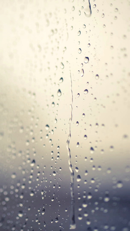 手机雨滴壁纸  下雨之后形成的雨滴(3)
