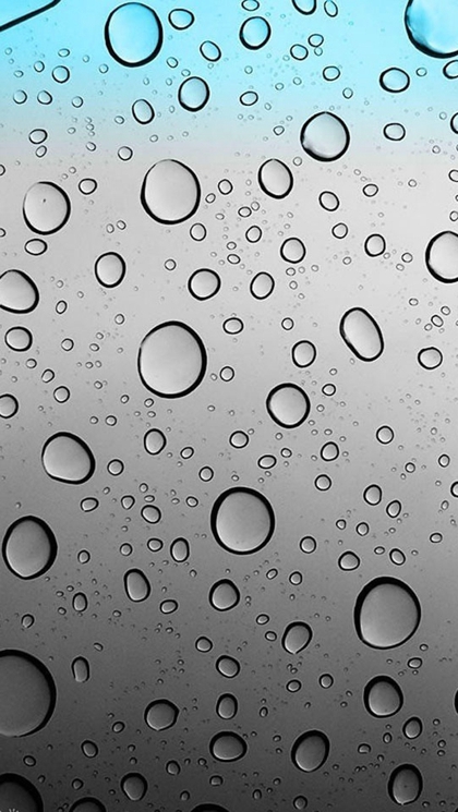 手机雨滴壁纸  下雨之后形成的雨滴(6)