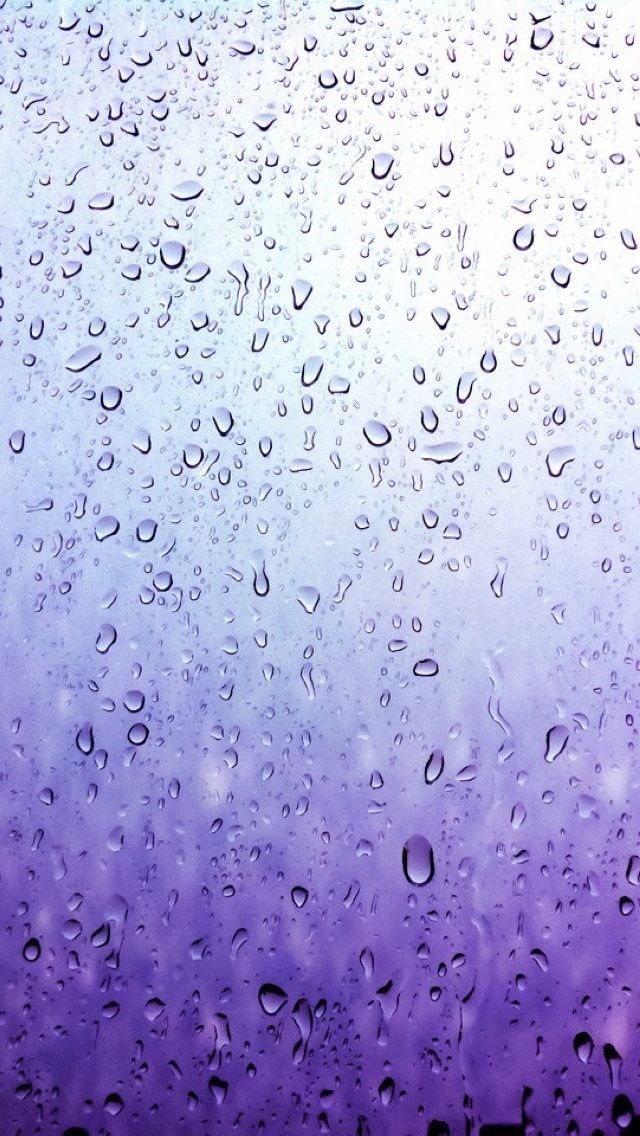 手机雨滴壁纸  下雨之后形成的雨滴(5)