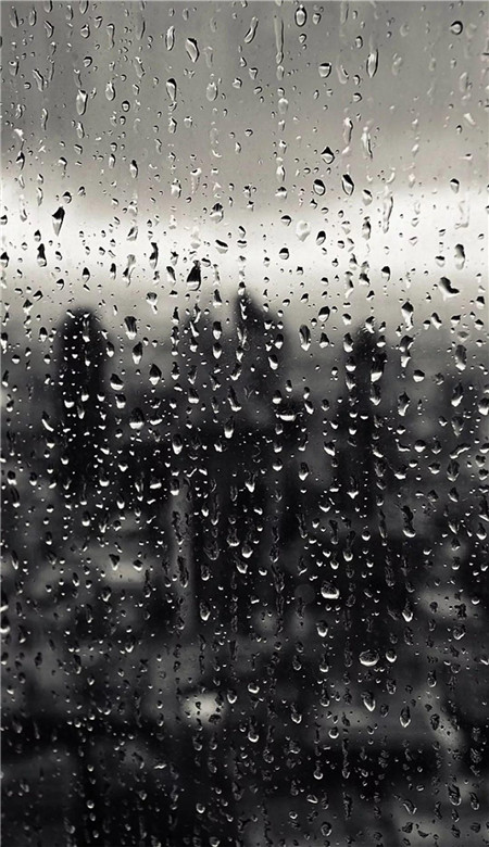 雨滴手机壁纸高清  好看的雨滴图片