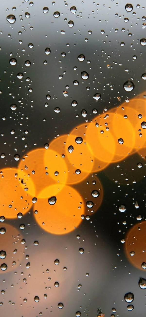 雨滴手机壁纸高清  好看的雨滴图片(4)