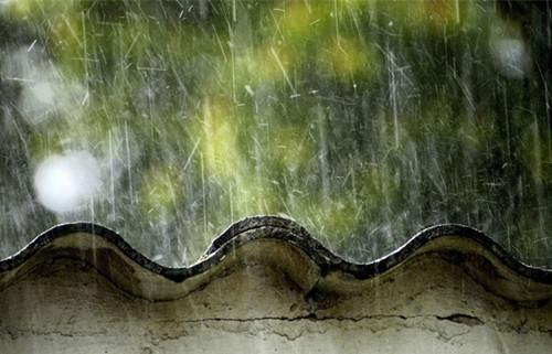 下雨壁纸高清  唯美下雨景色图片(7)