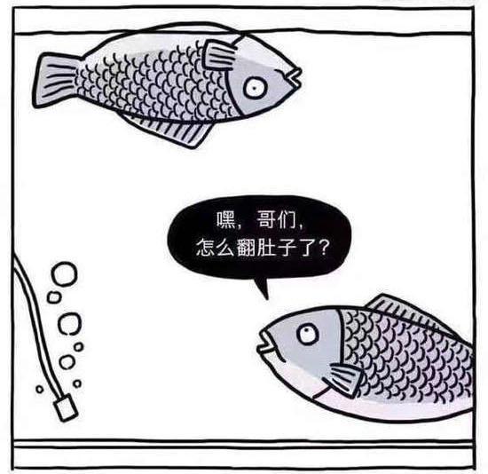 搞笑图片两条鱼的对话带字-搞笑图片大全-幽默搞笑简笔画图片