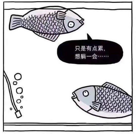 搞笑图片两条鱼的对话带字-搞笑图片大全-幽默搞笑简笔画图片(3)