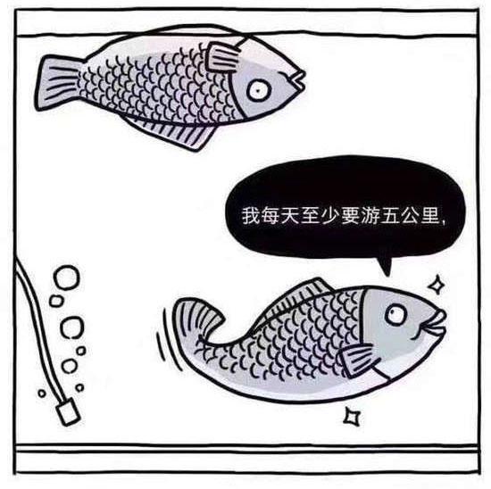 搞笑图片两条鱼的对话带字-搞笑图片大全-幽默搞笑简笔画图片(5)