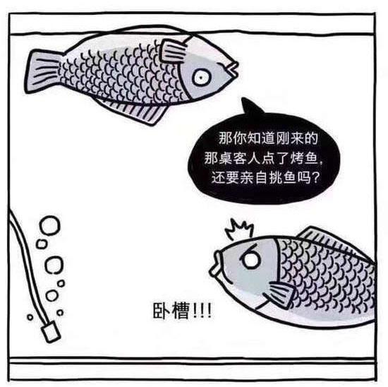 搞笑图片两条鱼的对话带字-搞笑图片大全-幽默搞笑简笔画图片(8)