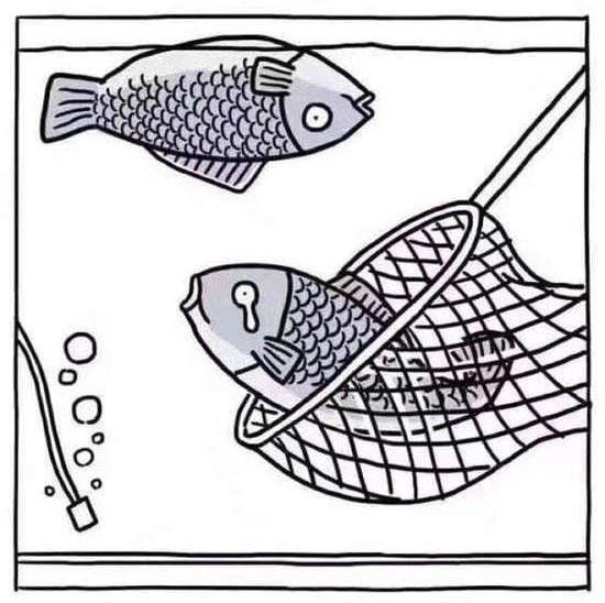 搞笑图片两条鱼的对话带字-搞笑图片大全-幽默搞笑简笔画图片(9)