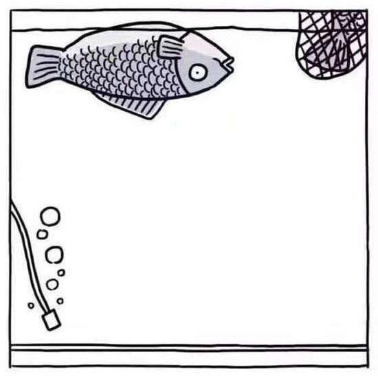 搞笑图片两条鱼的对话带字-搞笑图片大全-幽默搞笑简笔画图片(10)